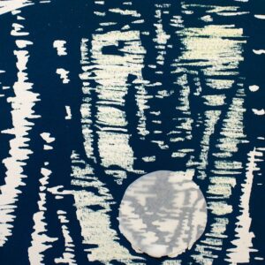 Dag17_Jezusdedeur - Davitha