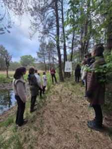 Stiltewandeling