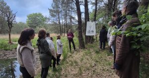 Stiltewandeling